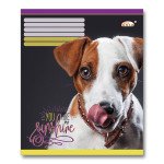 Зошит_шкiльний 48 арк. ТМ "Gold Brisk" клiтинка