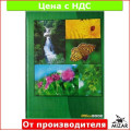 Книга А4, твердая обложка, 80 л, офсет, клетка "Серия ассорти"