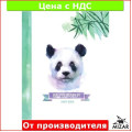 Тетрадь А5, твердая обложка, 160 л, офсет, клетка
