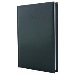 Щоденник датований 2020, CARIN, зелений, А5