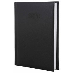 Щоденник датований 2020, Economix, CARIN, чорний, А6