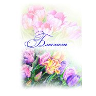 Блокнот "My friend" В7+ 50 л, на резинке, скоба