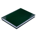 Щоденник дат. 2021 VELVET, A5, 336 стор., зелений