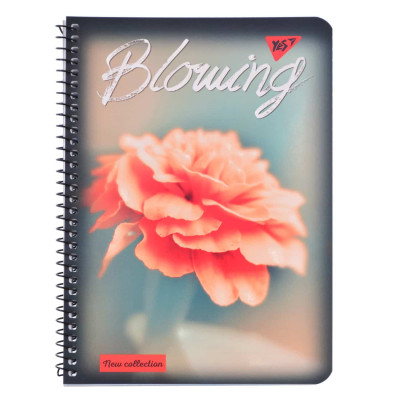 Тетрадь А5/80 од.спираль "BLOWING" YES