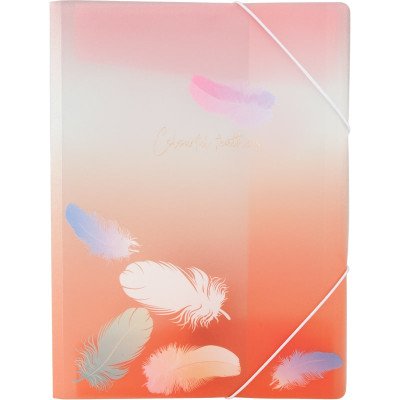 Папка на гумках А4+, Colourful Feather 04