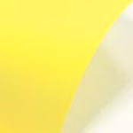 Бумага А4 500л  Paper LEMON 210