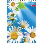 Блокнот А6 50арк., УФ лак,оф.60г/м2. кл. пруж. верх.