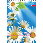 Блокнот А6 50арк., УФ лак,оф.60г/м2. кл. пруж. верх.