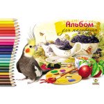 Альбом для рисования клееный 20л Мандарин